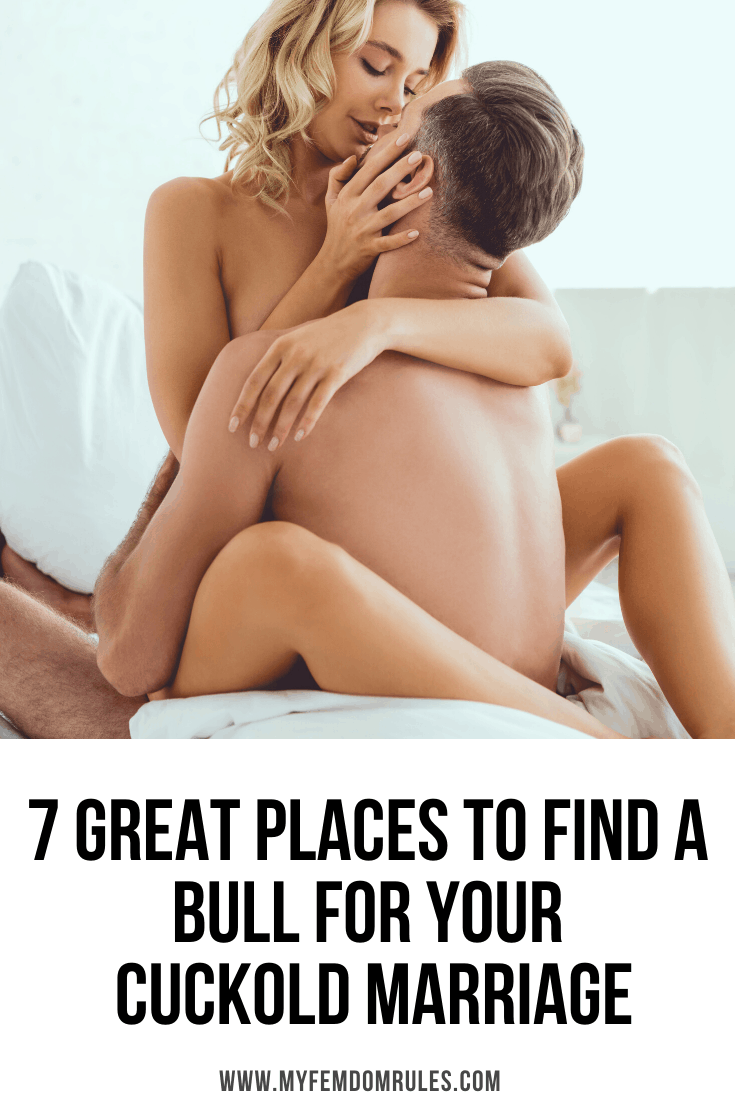 How To Find A Bull For Your Cuckold Marriage 7 Great Places To Start image pic